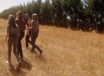 134569_stonefield_dr-398.jpg