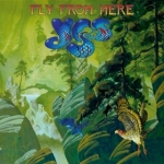 144282_yes-fly-from-here_dr-9691.jpg